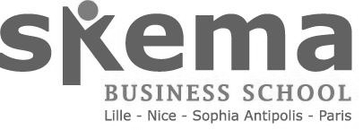 skema bs